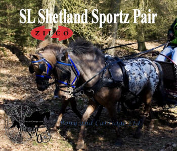 Zilco Sl Spotz small pony  Pair Harness
