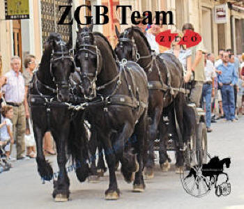 Zilco ZGB Horse  Harness Single - Pair -Team 5