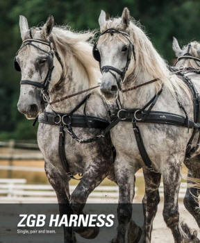 ZGB Horse Harness 