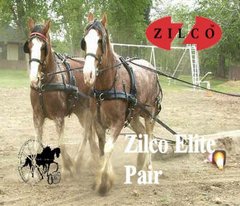 Zilco Elite Horse Harness Single - Pair - Team 3