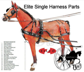 Zilco Elite Horse Harness Single - Pair - Team 2