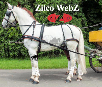 Zilco WebZ Carriage Driving Harness