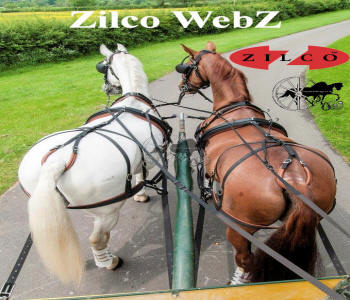 Zilco WebZ Pair rear Carriage Driving Harness