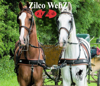 Zilco WebZ Pair Front Carriage Driving Harness