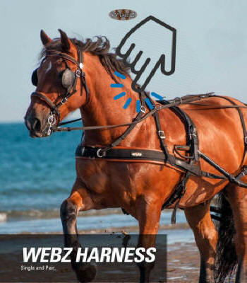 Zilco Webz Harness Extra Details
