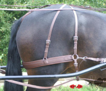 Zilco Brun Horse Harness 4