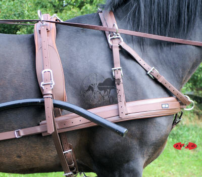 Zilco Brun Horse Harness 2