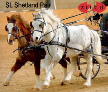 Zilco SL Pair Horse Harness