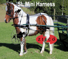 Zilco SL Miniature Horse Harness