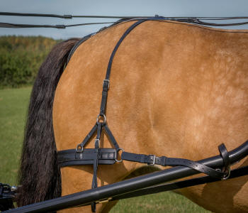 Zilco SL Plus Carriage Driving Harness Rear