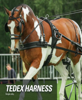 Zilco Tedex Horse Harness