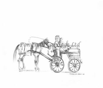have carriage driving lessons