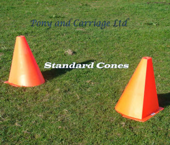 Non Flexible Carriage Driving Cones