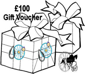 Carriage Driving £100 Gift Voucher Certificates