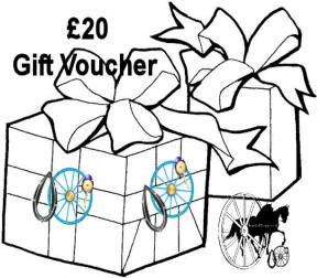 Carriage Driving £20 Gift Voucher Certificates
