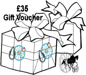 Carriage Driving £35 Gift Voucher Certificates
