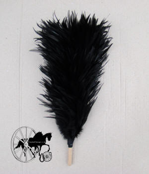 Black Feather Plume