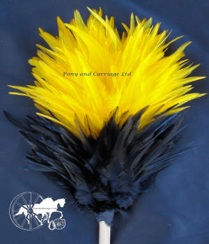 Black and Yellow Feather Plume