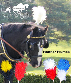 Feather Plume Holder Fitted to Horse