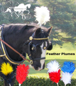 Egret Feather Carriage Driving Harness Colour Plumes Carriage Driving