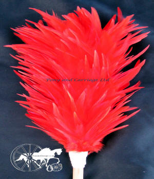 Red Feather Plume
