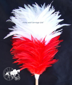 Red and White Feather Plume