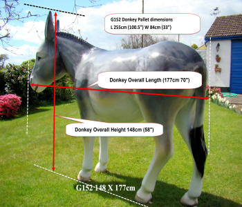 Life Size Donkey Model G152 Shipping Measurements