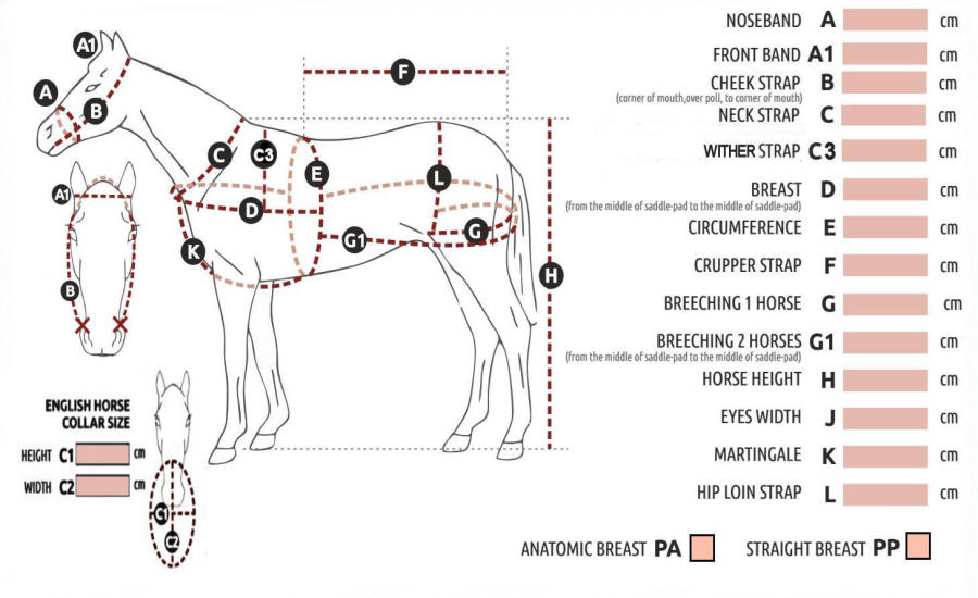 Horse Harness Measurment Diagram
