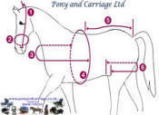 horse driving harness measurement diagram picture