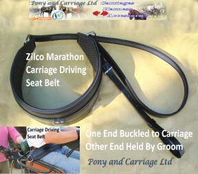 Carriage Driving Seat Belt