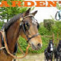 Arden Quality Leather Harness made to measure or off the shelf sizing