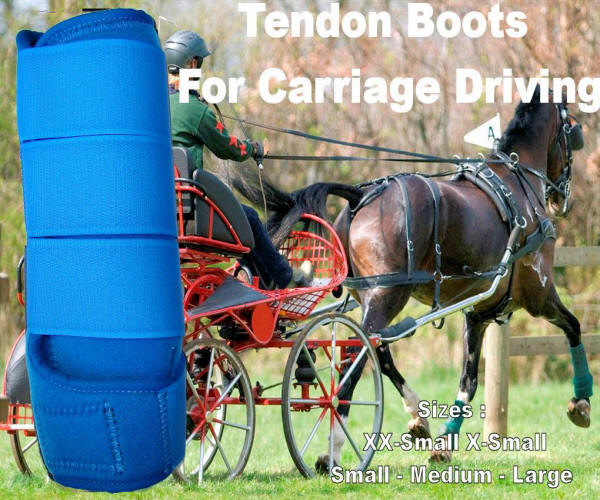 Carriage Driving Tendon Royal Blue