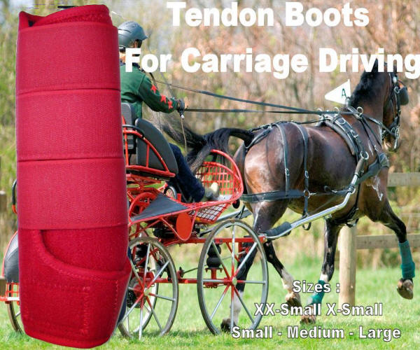 Carriage Driving Coloured Protective Tendon Boots Red