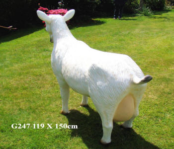 Life Size Donkey Model