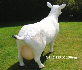 Life Size Donkey Model G152 Shipping Measurements