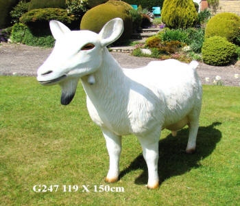 Life Size Donkey Model