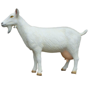 Life Sized Goat