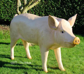 Life Sized Pig  Model