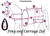 horse driving harness measurement diagram picture